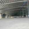 CHO THUÊ 33.400M2 KCN PHƯỚC ĐÔNG- CẦN ĐƯỚC- LONG AN