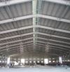 Cho thuê nhà xưởng 2000m-60.000m KCN và CCN Phú Thọ giá 60k/m2, PCCC tiêu chuẩn mới nhất