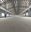 CHO THUÊ KHO XƯỞNG LÀM THỰC PHẨM, MAY MẶC TẠI HÓC MÔN, TPHCM 5000M2 PCCC TỰ ĐỘNG