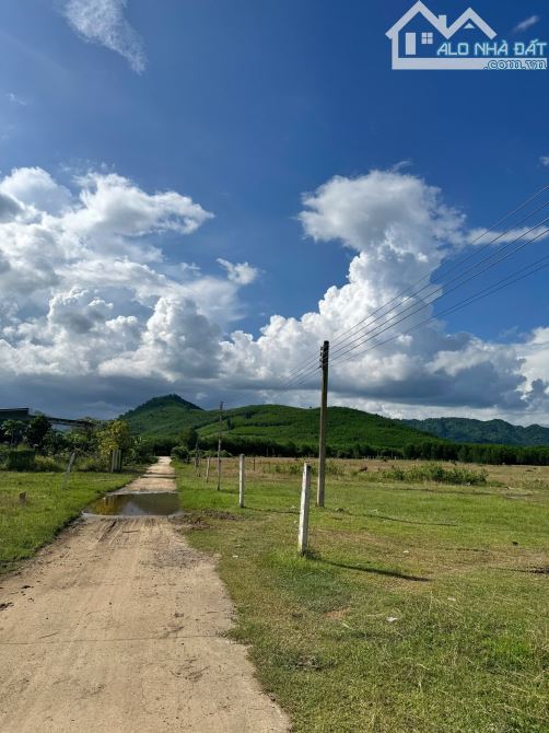 💥Mở B.án 12 Lô Full Thổ, ngay trung tâm bàn cờ Khánh Hiệp - chỉ từ 165triệu💥 - 2