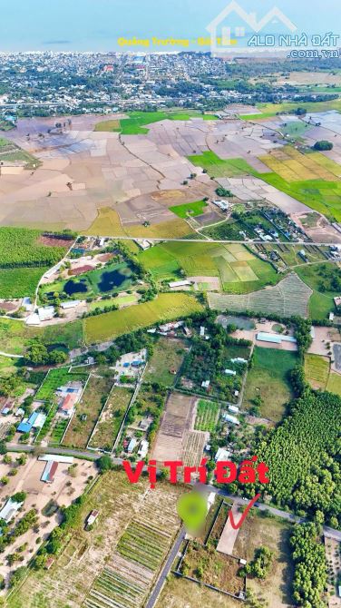 2 LÔ LIÊN KỀ - ĐẤT BIỆT THỰ VƯỜN CỰC ĐẸP THỊ TRẤN PHƯỚC HẢI - LONG ĐẤT - BRVT - 2