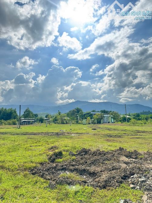 💥Mở B.án 12 Lô Full Thổ, ngay trung tâm bàn cờ Khánh Hiệp - chỉ từ 165triệu💥 - 5