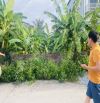 250m2 mt 7.3m giá 13.5tr/m2. Cạnh Ctech đi vào đường oto