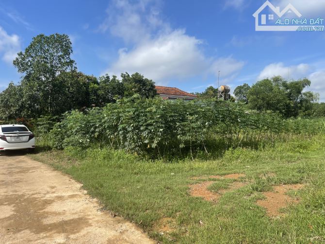 118m đất Full thổ cư Ven Khu Công nghiệp 570ha đang Khởi Công - 3