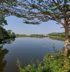 Bán Đất Nền Yên Bài- Ba Vì, DT 528M2-100m2 Đất Ở, Lô Góc, View Hồ Giá 7,7 TỶ Đồng