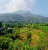 Bán đất Ba vì, Ba Trại, Suối Hai, 200m ra TL, đường to, thông, view đồng, 422m, chỉ 2.95tỷ