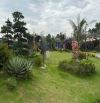 Villa _ Homestay siêu đẹp. Sóc Sơn_ Hà Nội