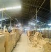 XT568 cho thuê nhà xưởng 2500m2 sản xuất kho chứa hàng tại Biên Hoà