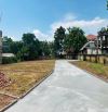 Cần tiền bán Gấp ô đất Tam Nông - Phú Thọ ,100m2 chỉ 3xx, tiện ích đầy đủ