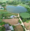 Cần bán 1000m2 tại Cao Phong, Hòa Bình đất vuông bằng phẳng