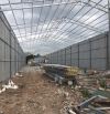 Cho thuê kho xưởng tại Đại Áng 1000m2