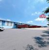 Cho thuê kho vận hành Logistics Long bình. Gần KCN Biên Hòa - Đồng Nai. 5400m2 chỉ 80k/m2.
