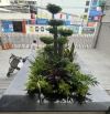 cho thuê tòa nhà 8 lầu đường nguyễn văn đậu , quận binh thạnh