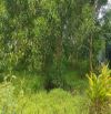 🌳 BÈO NHẤT HƯƠNG LỘ 12 - DT: 2.144M CÓ 300 THỔ CƯ- GIÁ: 9 TỈ– LONG PHƯỚC, LONG THÀNH 🌳