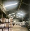 Cho thuê kho Tân Bình 1.500m² – Trục Phạm Văn Bạch Tân Sơn . Tân Bình 30x50m.