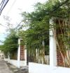 BÁN ĐẤT ĐẸP NGUYỄN HUY LƯỢNG – SÁT BIỂN NGUYỄN TẤT THÀNH – THANH KHÊ, ĐÀ NẴNG