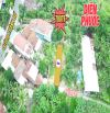 Đất Diên Phước ngay sát Thành Hồ - Tỉnh Lộ 2 giá đầu tư chỉ 780triệu💢