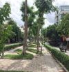 MT Phạm Huy Thông 4.5x12m đất trống giá 10 tỷ có bớt