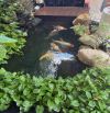 🌟 BÁN NHÀ HẺM Ô TÔ NT ĐẸP PHẠM HỒNG THÁI,NGANG 6M PHƯỜNG 7, VŨNG TÀU – GIÁ CHỈ 9 TỶ 🌟