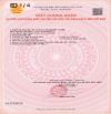 LÔ GÓC (16x16) 2MT TRUNG ĐÔNG 7, THỚI TAM THÔN, HÓC MÔN GIÁ 9,6 TỶ