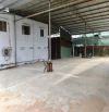 Cho Thuê MB Kho 1000m/30tr Thuận An Có Điện 3 Pha
