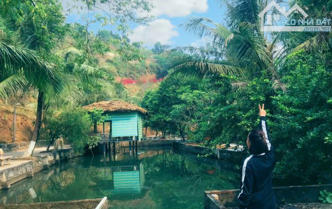 BÁN KHU DU LỊCH SINH THÁI TRONG LÒNG THÀNH PHỐ YÊN BÁI - 2