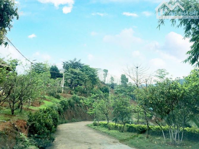 BÁN KHU DU LỊCH SINH THÁI TRONG LÒNG THÀNH PHỐ YÊN BÁI - 3