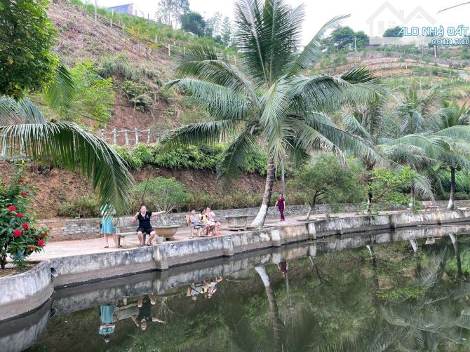 BÁN KHU DU LỊCH SINH THÁI TRONG LÒNG THÀNH PHỐ YÊN BÁI - 5