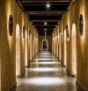 TỔ HỢP RETREAT HOTEL - 10,000M2- 259 PHÒNG- TRUNG TÂM PHÚ MỸ HƯNG,Q7- NGANG 25M- 2,5 TỶ/TH