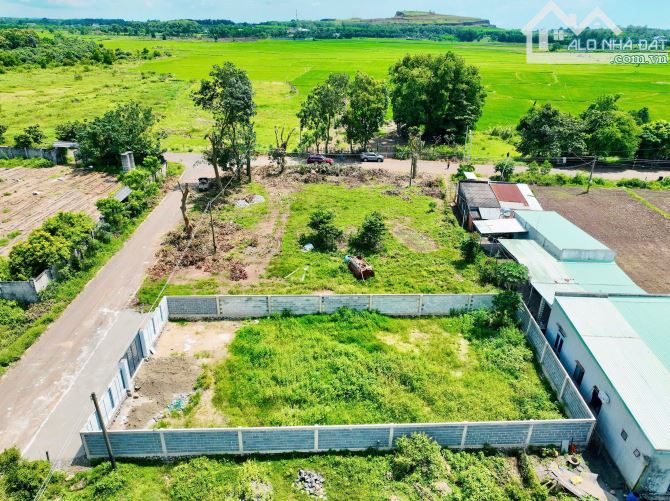 BẤN ĐẤT THỊ TRẤN ĐẤT ĐỎ BÀ RỊA VŨNG TÀU DT 500M - 2