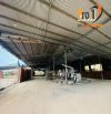 Cho thuê xưởng 6000m2 có bình 250kva Giang điền trảng bom.