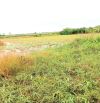 B.á.n 2,6 công đất cây giá 600tr hết đất tại Gò Công Đông, Tiền Giang cũ