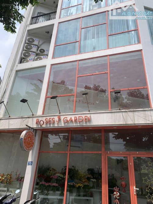 CHO THUÊ NHÀ 4 TẦNG 85 M² PHỐ NGUYỄN THÁI HỌC – BA ĐÌNH, MT 5M, GIÁ 45TR/THÁNG, KD SẠCH SẼ