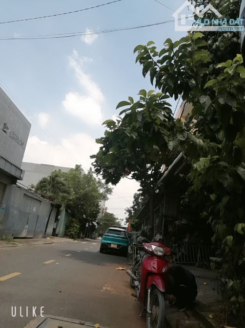 🔥 GIÁ HỜI 11 TỶ (TL bớt lộc) 🏠 CHDV 16 PHÒNG, PHAN VĂN ĐỐI, HM - 1