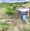 Bán 7ha tại Đắk Hà, Kon Tum( Quảng Ngãi)