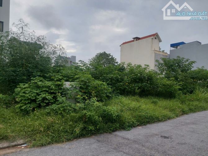 Bán lô biệt thự  DT 247 M Anh Dũng 7 Dương Kinh
