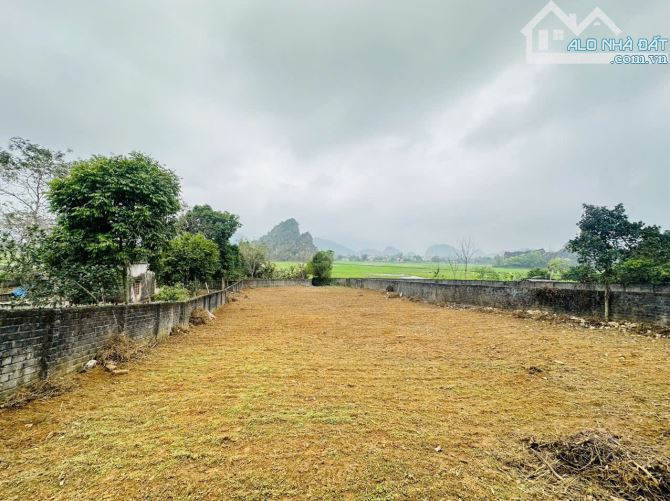 LÔ GÓC - 390m2 - TRUNG TÂM THÔN - SÁT QH ĐƯỜNG VĐ5 - GIÁ 1,x TỶ