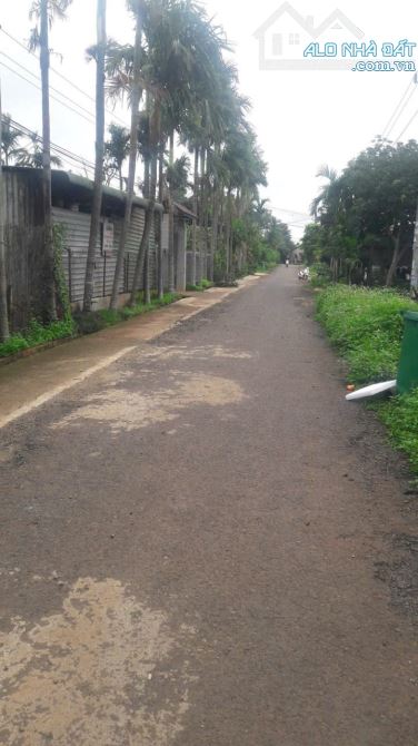 Cần Bán Lô Đất Mặt Tiền Đường 18A Xã Hoà Thuận TP BMT