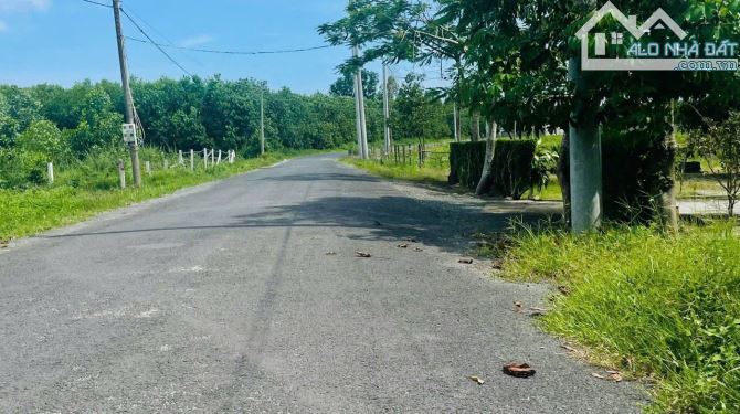 Bán Đất Mặt Tiền Đường Nhựa -Láng Dài -Xã Đất Đỏ-Thành Phố Hồ Chí Minh Ngang 21x57