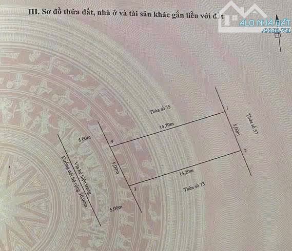 BÁN ĐẤT TĐC CÂY ĐA ĐƯỜNG RỘNG 30m SIÊU TO ĐẸP