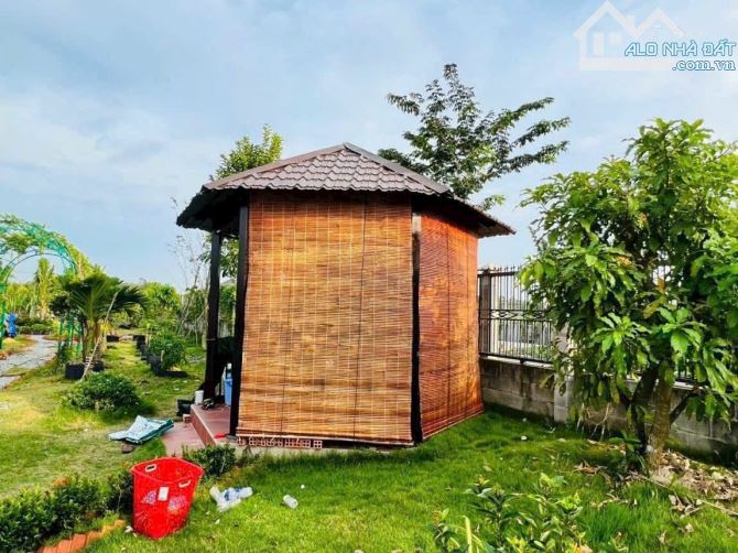 Bán đất khu dân cư đường xe tải xã Trung Lập Hạ Củ Chi TPHCM, DT: 17x42m.
