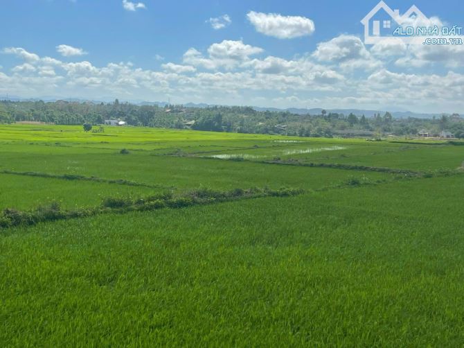🔥🔥 HÓT NHẤT PHƯỜNG KHÁNH XUÂN 🔥🔥 LÔ ĐẤT ĐẸP - GIÁ SIÊU RẺ             🔴 VIEW CÁNH ĐỒN