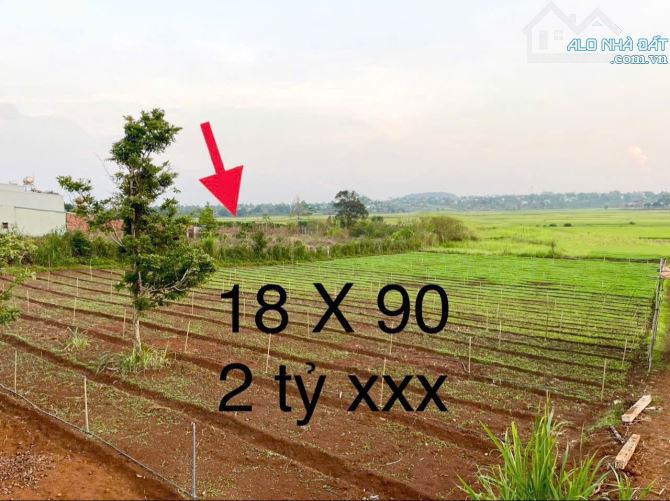 ✨ Đất View Ruộng thích hợp làm nhà vườn P. Pleiku