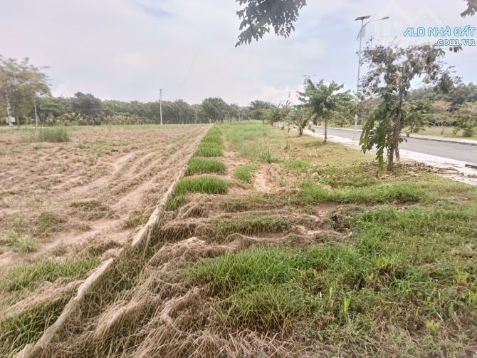 Bán đất đã có sổ hồng , DT : 5×19 lộ giới 13m giá 1,2T