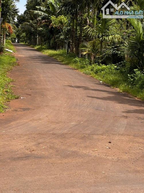 HẺM C1 NGUYỄN XUÂN NGUYÊN, NAO B 1 LÔ DUY NHẤT