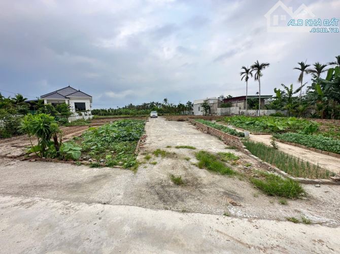 87m2 đất Lão Phong, Tân Phong, Kiến Thụy sát dự án khu thương mại, Logistic Kiến Hải