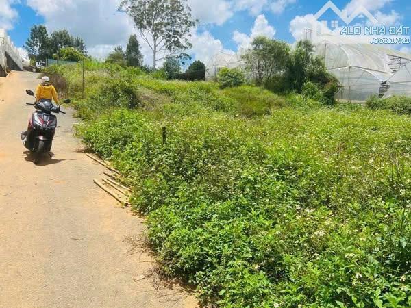 Đất Biệt thự Thái Phiên -  P12 - Đà Lạt. Gía 4,7 tỷ - 209m2