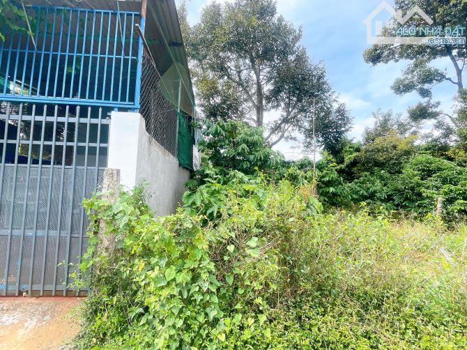 BÁN ĐẤT ĐƯỜNG LƯƠNG ANH QUANG, HẺM MẬU THÂN, P. TÂN HÒA