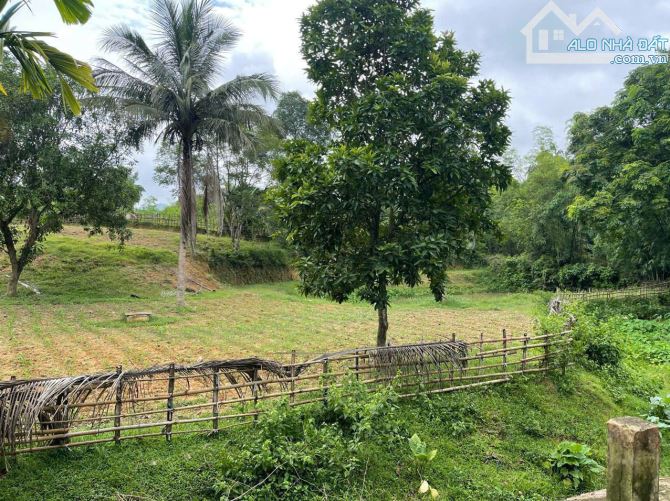 CHÍNH CHỦ BÁN LÔ ĐẤT ONT VÀ CLN BÁM SUỐI TẠI CUỐI HẠ KIM BÔI HOÀ BÌNH