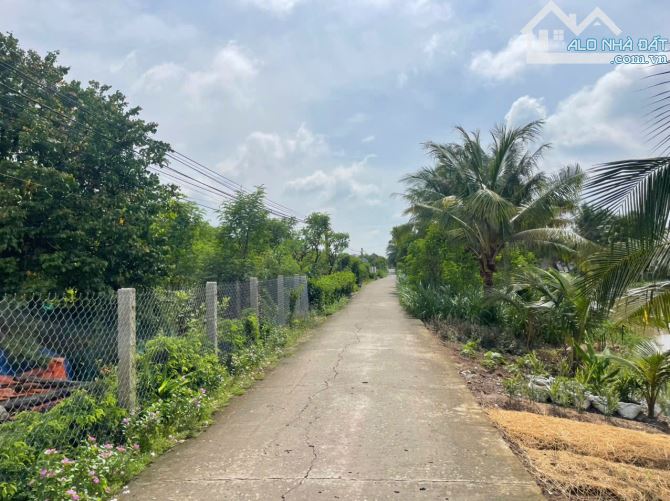 B.á.n 2 công đất vườn chỉ 950tr hết đất, mặt tiền ôtô hướng biển Rạch Bùn, Tân Điền, ĐT